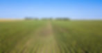 2024 Farm Bill